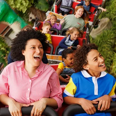 LLC Coastersaurus