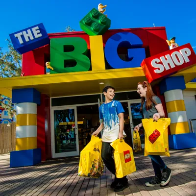 The BIG