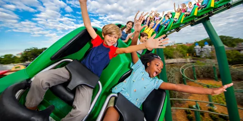 Dragon Coaster