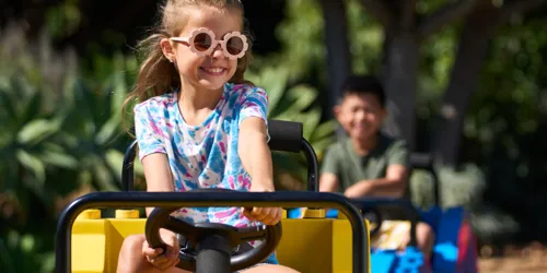 Girl Driving 1X1