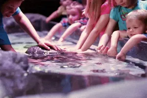 SEA LIFE Tunnel Gif