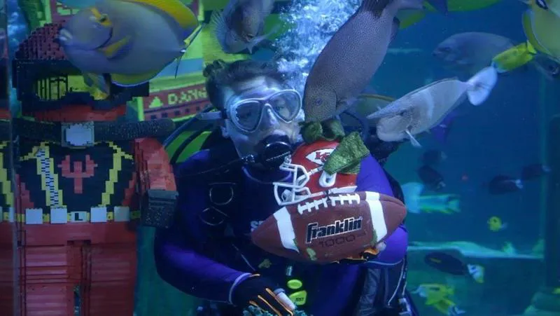 Fish Inside SEA LIFE® Aquarium Predict the Kansas City Chiefs to Win the Super Bowl LVIII!  