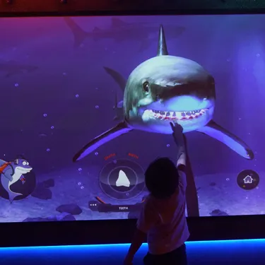 Shark Mission Exhibit