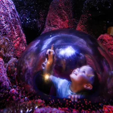 Freshwater Exhibit