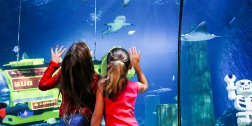 SEA LIFE Aquarium 1X1