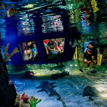 Family looking at fish while riding Deep Sea Adventure