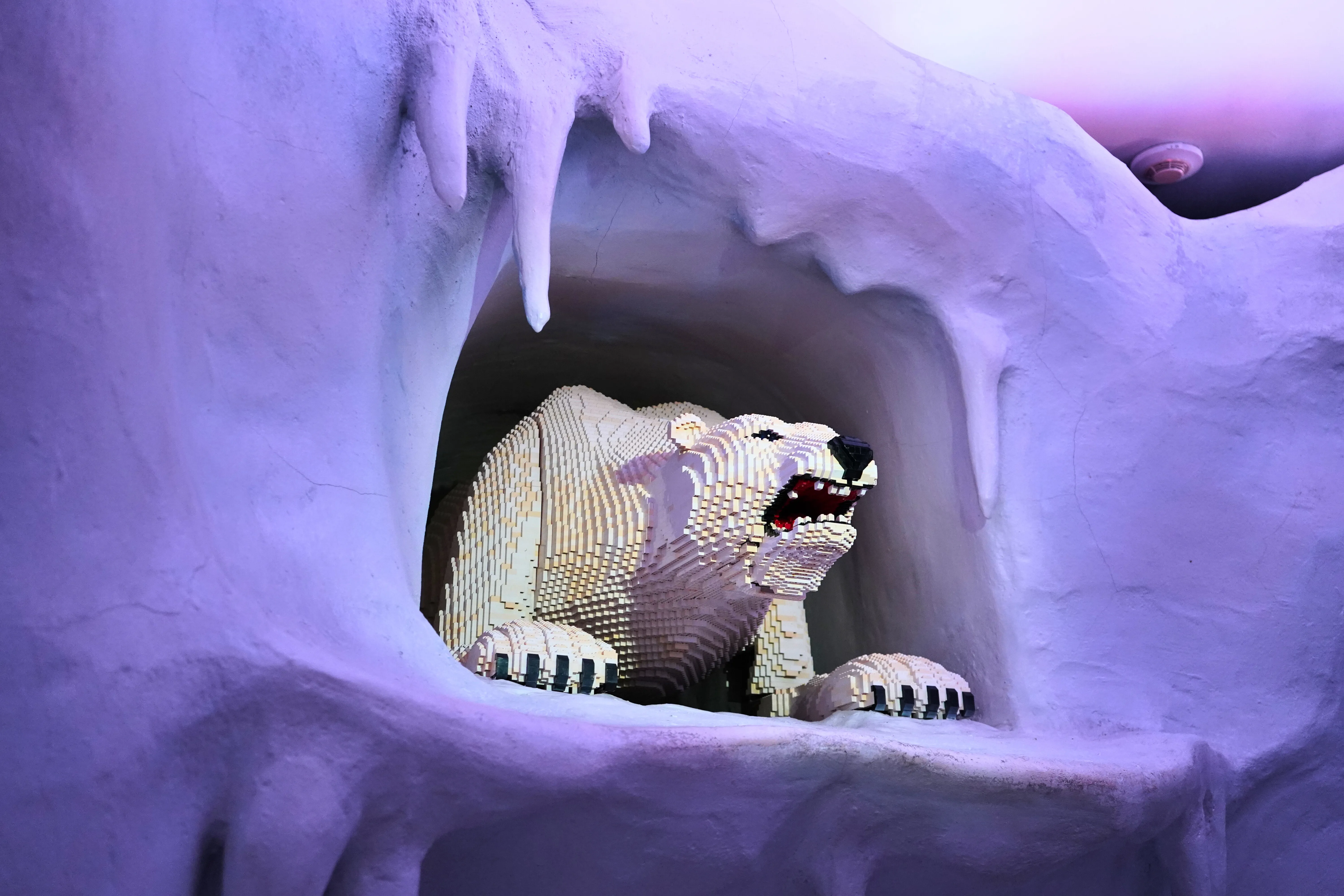 Adventurer's Club Polar Bear