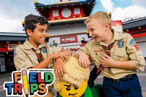 LLC Field Trips Web