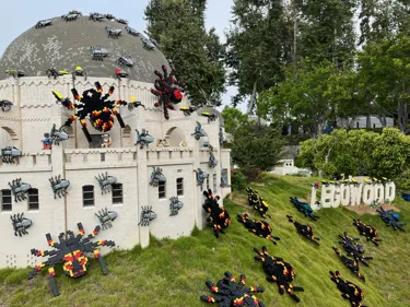 Spiders Hollywood