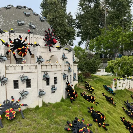 Spiders Hollywood